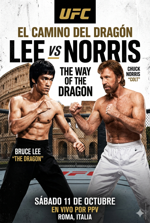 Chuck Norris vs Bruce Lee